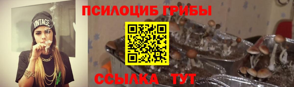 Псилоцибиновые грибы мицелий  Вход с VPN  Кировск 